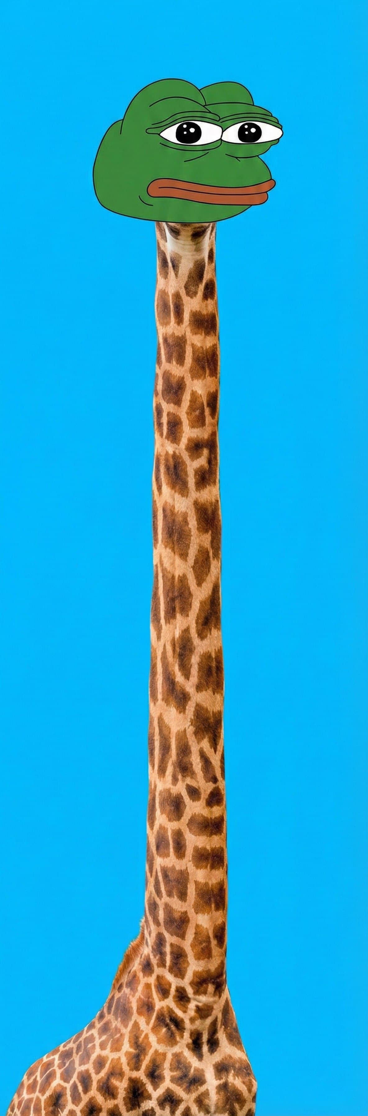 GEPE - A majestic Pepe-faced giraffe with the longest neck in DeFi